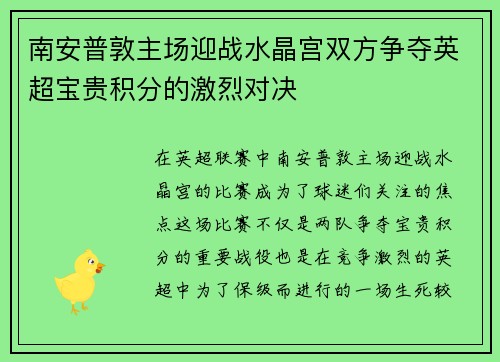 南安普敦主场迎战水晶宫双方争夺英超宝贵积分的激烈对决
