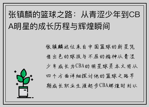 张镇麟的篮球之路：从青涩少年到CBA明星的成长历程与辉煌瞬间