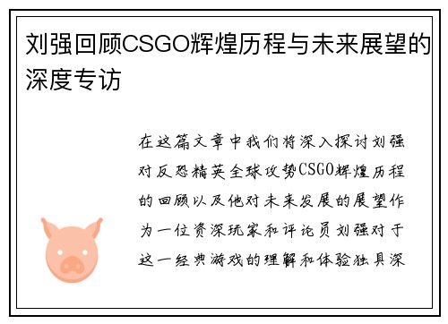 刘强回顾CSGO辉煌历程与未来展望的深度专访