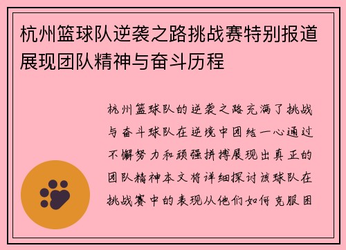杭州篮球队逆袭之路挑战赛特别报道展现团队精神与奋斗历程